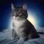 用户流星猫丸头像